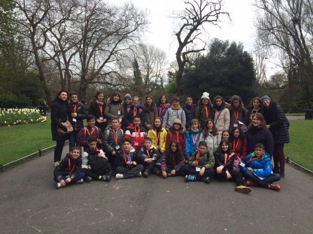 curso ingles irlanda
